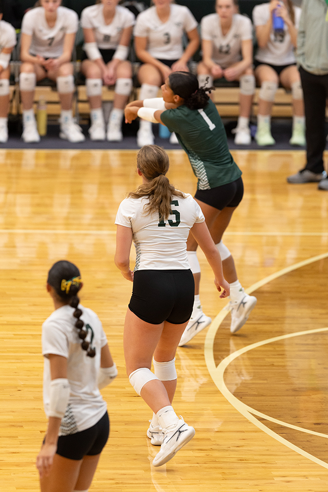 %_tempFileName1M6A0292%