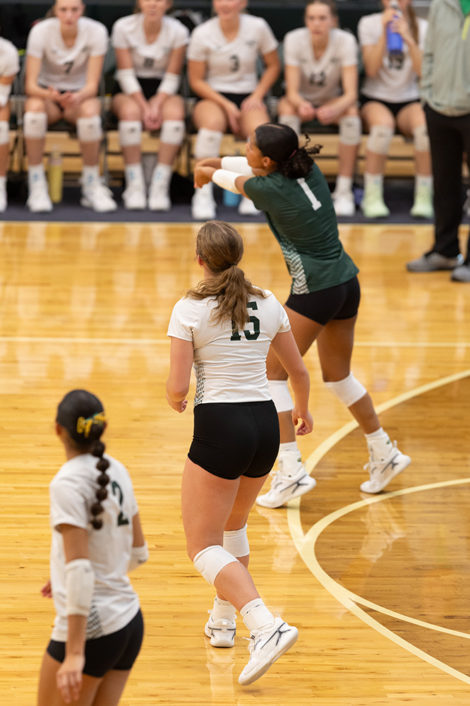 %_tempFileName1M6A0293%