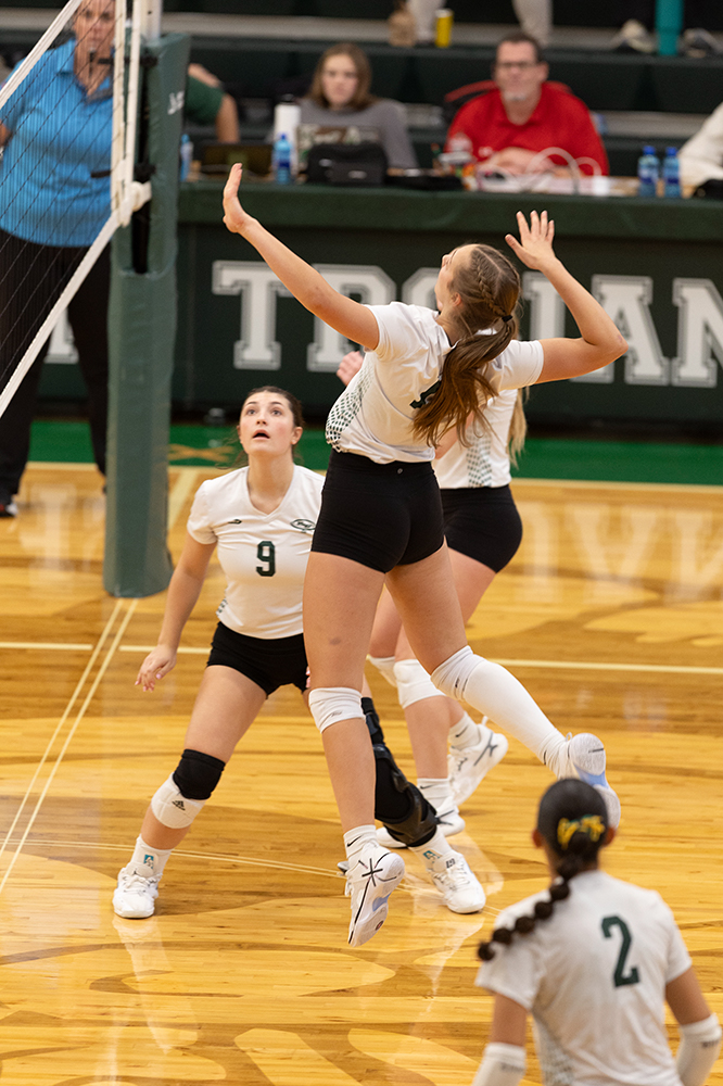 %_tempFileName1M6A0295%