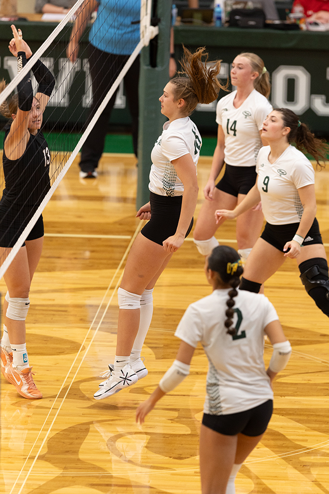 %_tempFileName1M6A0302%