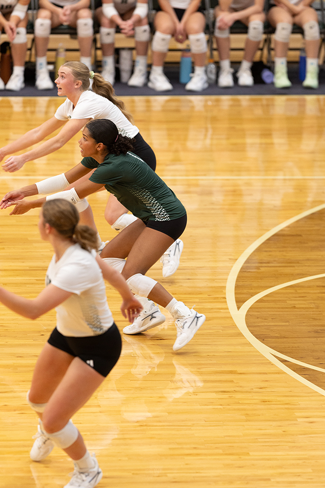 %_tempFileName1M6A0322%