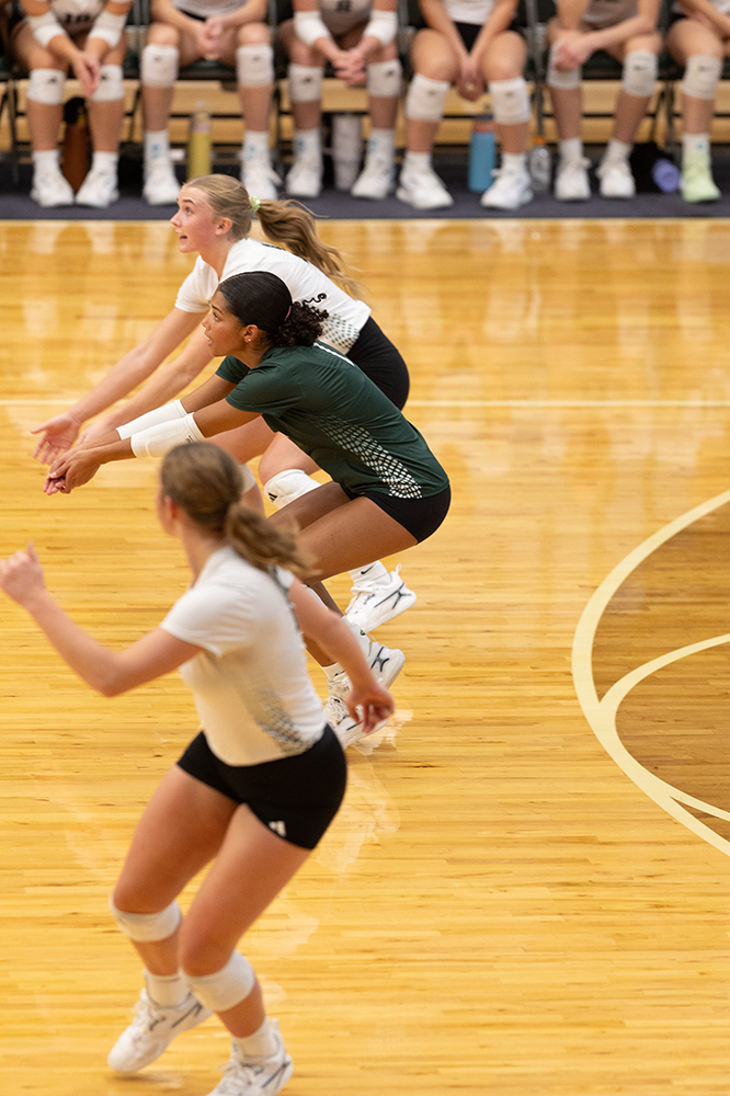 %_tempFileName1M6A0323%