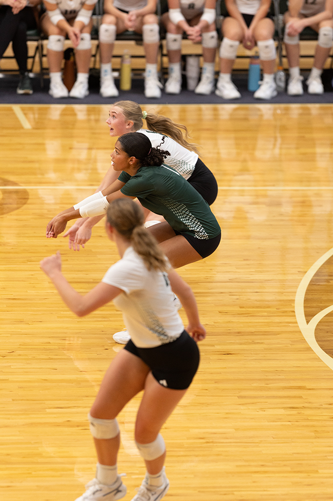 %_tempFileName1M6A0324%