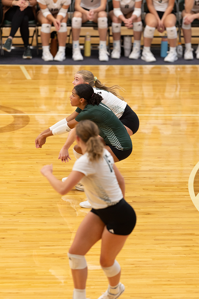 %_tempFileName1M6A0325%