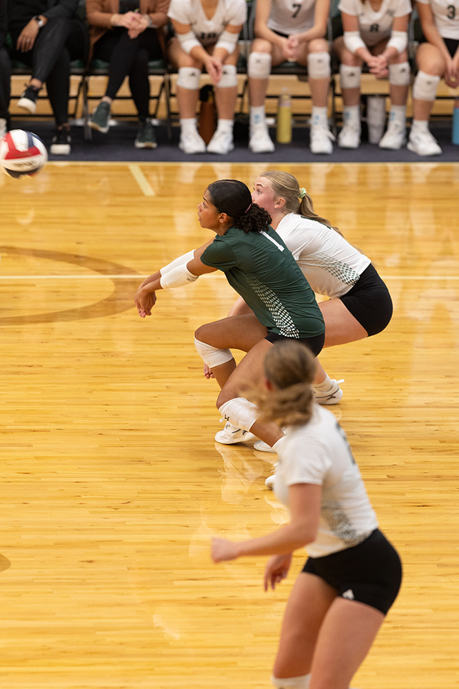 %_tempFileName1M6A0328%