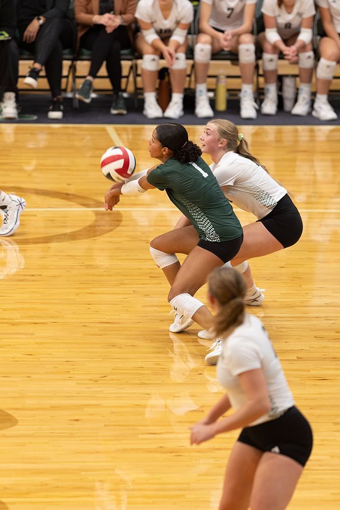 %_tempFileName1M6A0329%