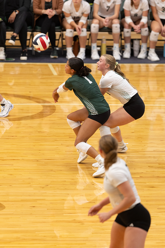 %_tempFileName1M6A0330%