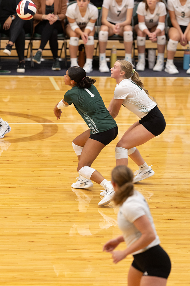 %_tempFileName1M6A0331%