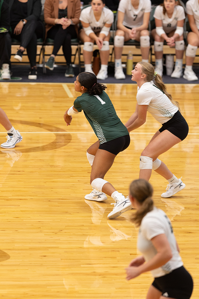 %_tempFileName1M6A0332%