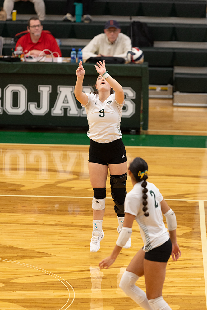 %_tempFileName1M6A0336%