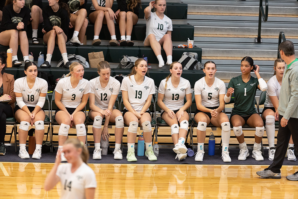 %_tempFileName1M6A0366%