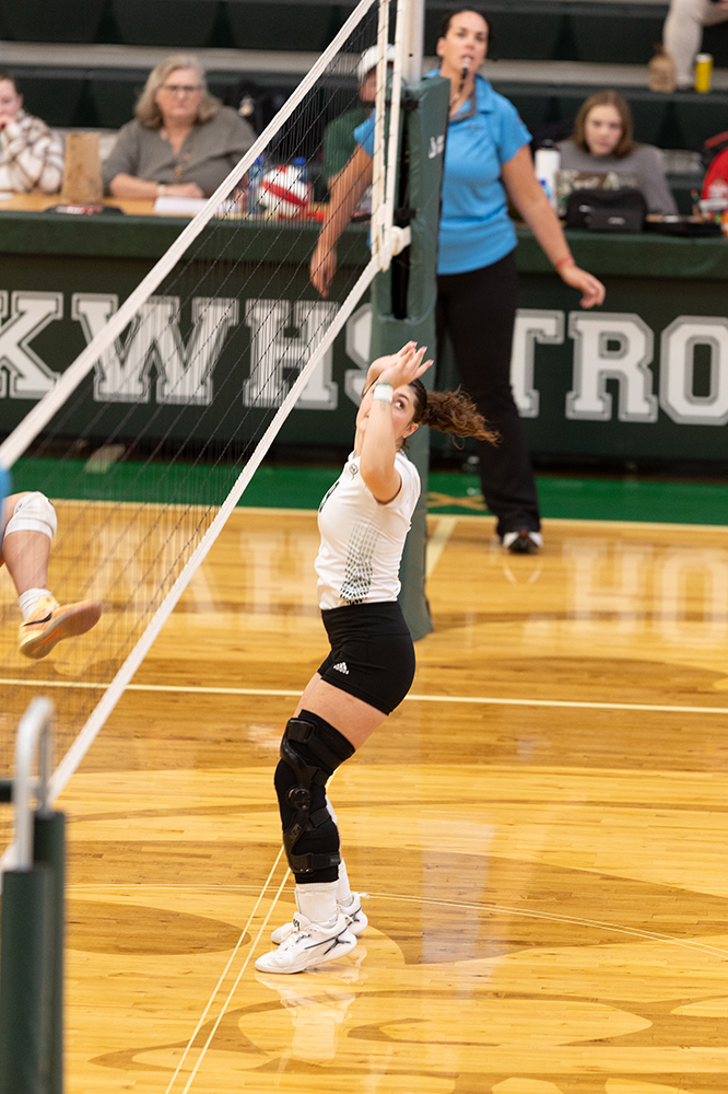 %_tempFileName1M6A0377%