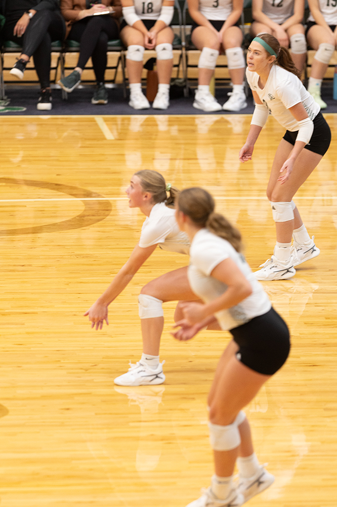 %_tempFileName1M6A0378%