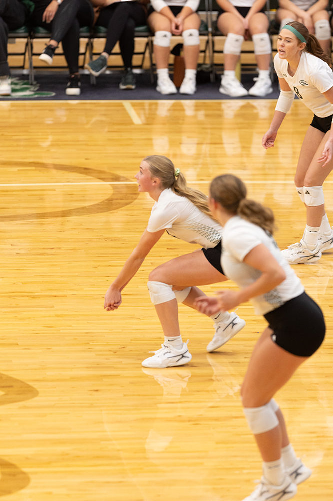 %_tempFileName1M6A0379%