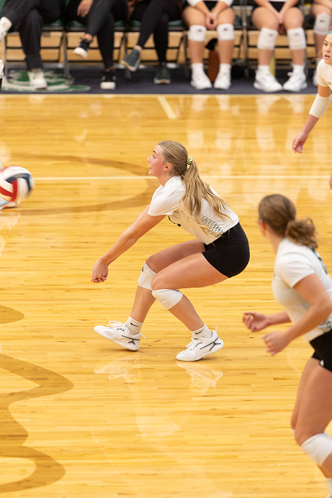 %_tempFileName1M6A0381%