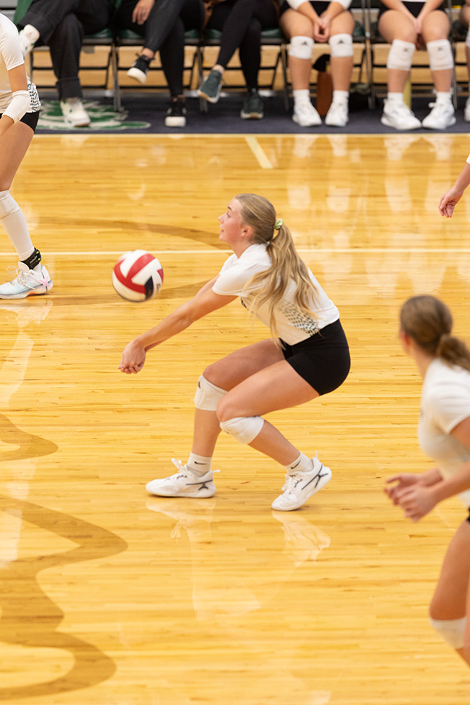 %_tempFileName1M6A0382%