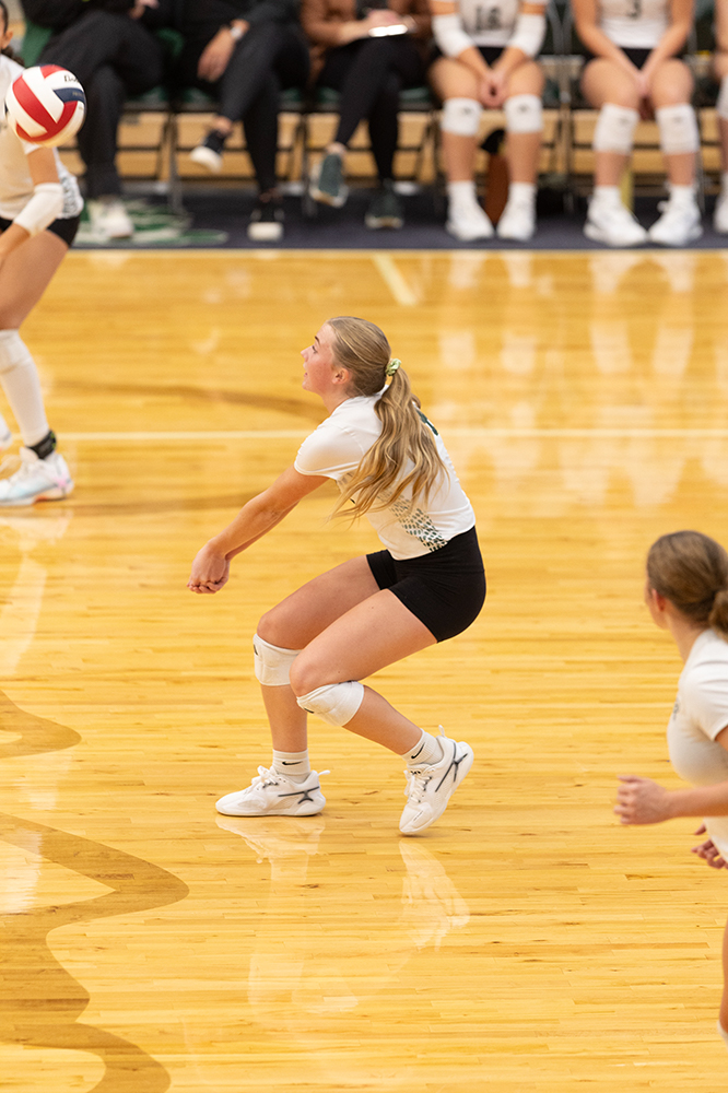 %_tempFileName1M6A0384%