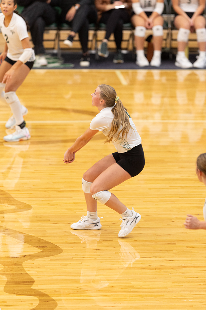 %_tempFileName1M6A0385%