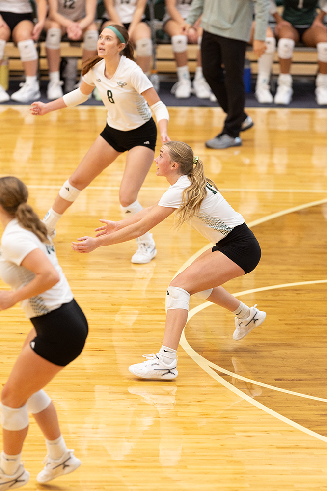 %_tempFileName1M6A0410%