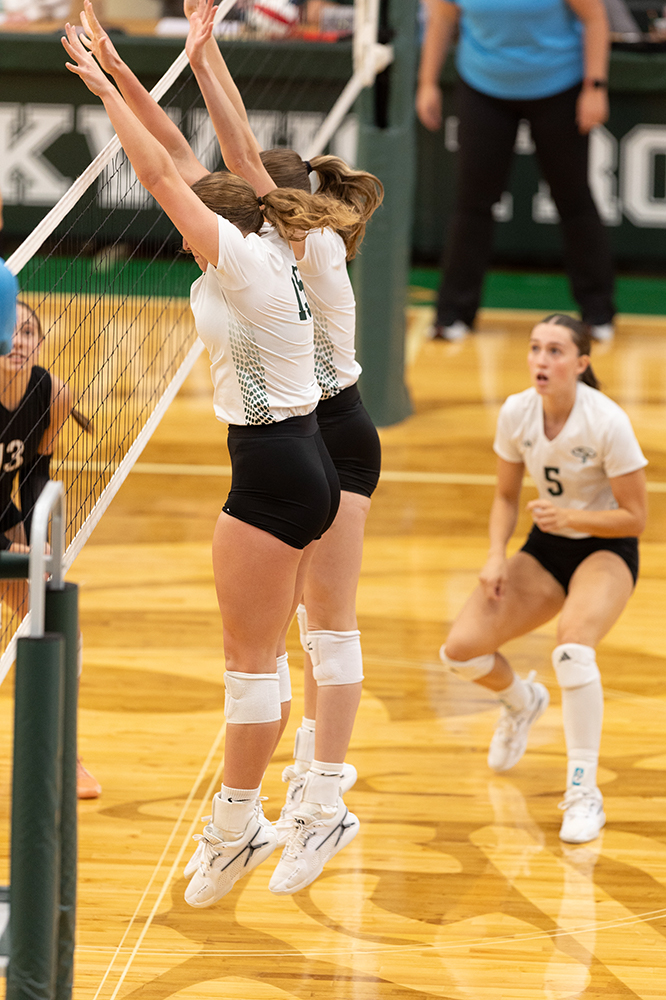 %_tempFileName1M6A0443%