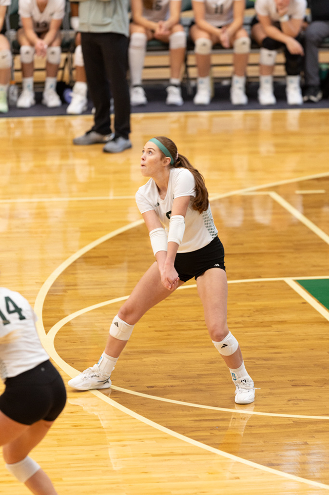 %_tempFileName1M6A0501%