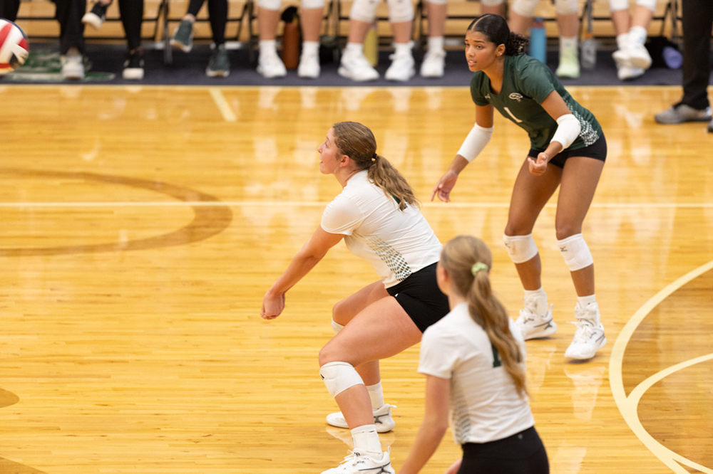 %_tempFileName1M6A0540%