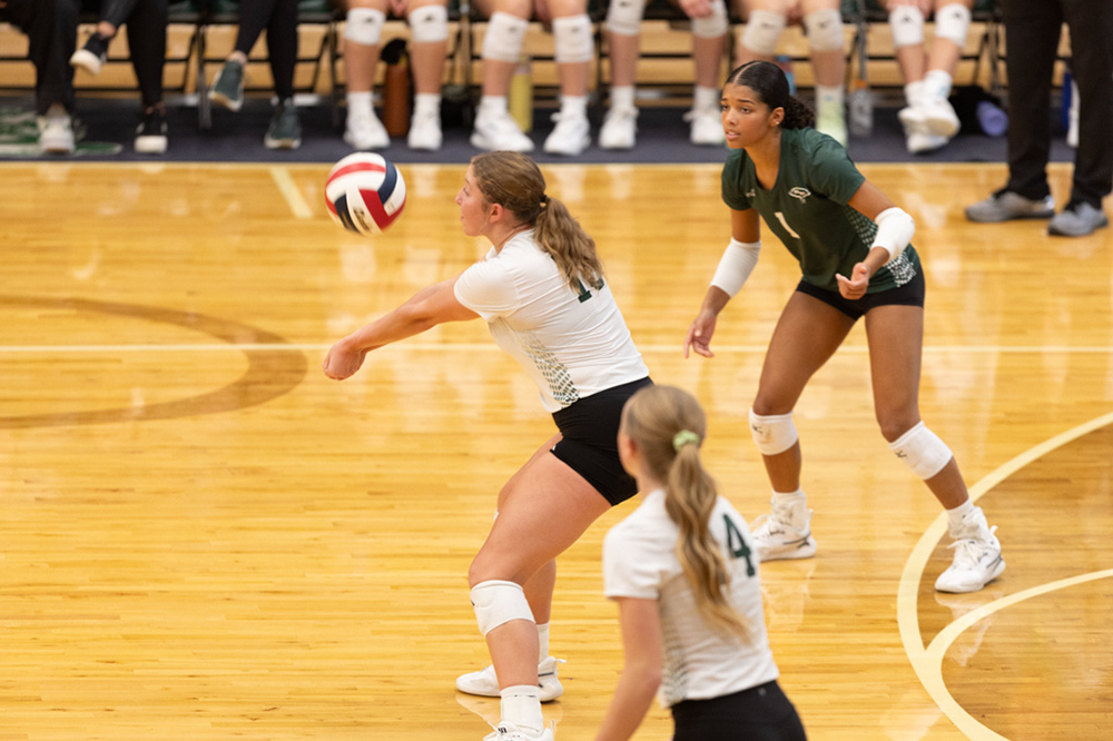 %_tempFileName1M6A0542%