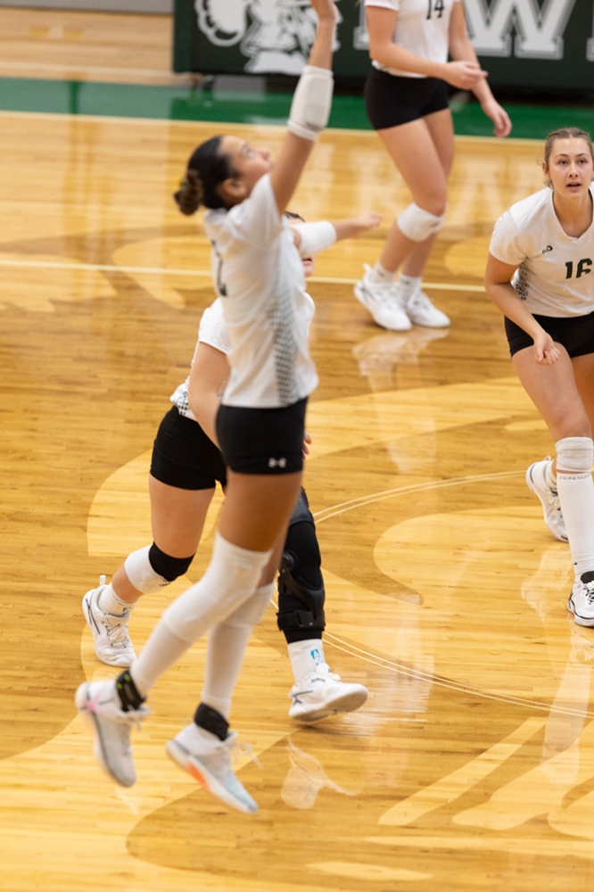 %_tempFileName1M6A0594%