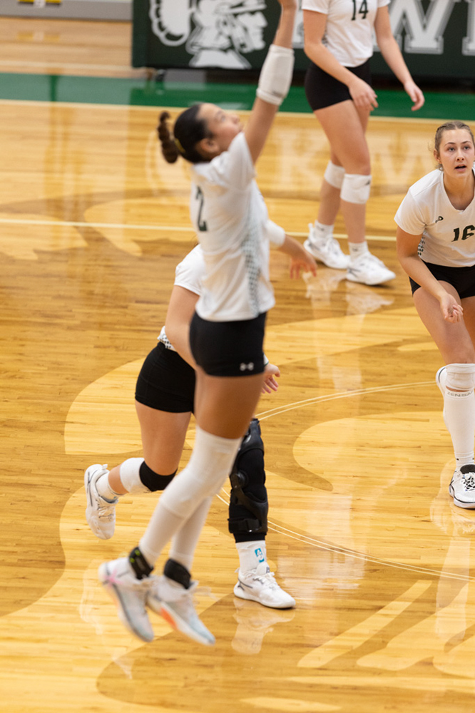 %_tempFileName1M6A0595%