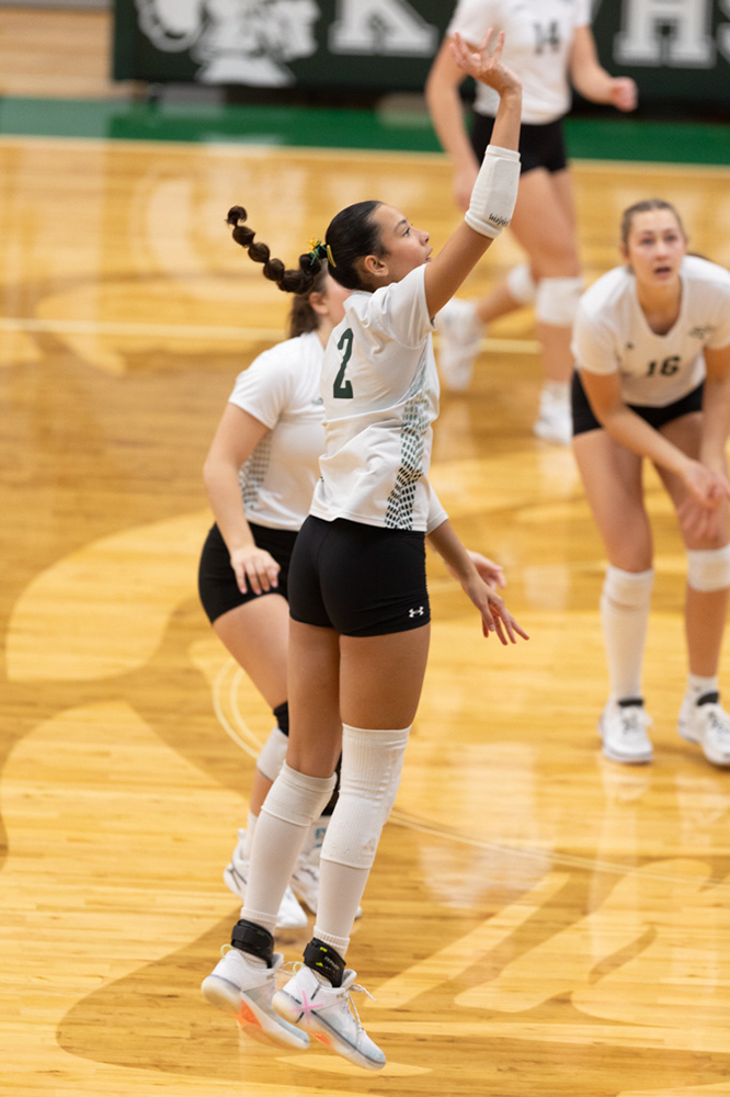 %_tempFileName1M6A0598%