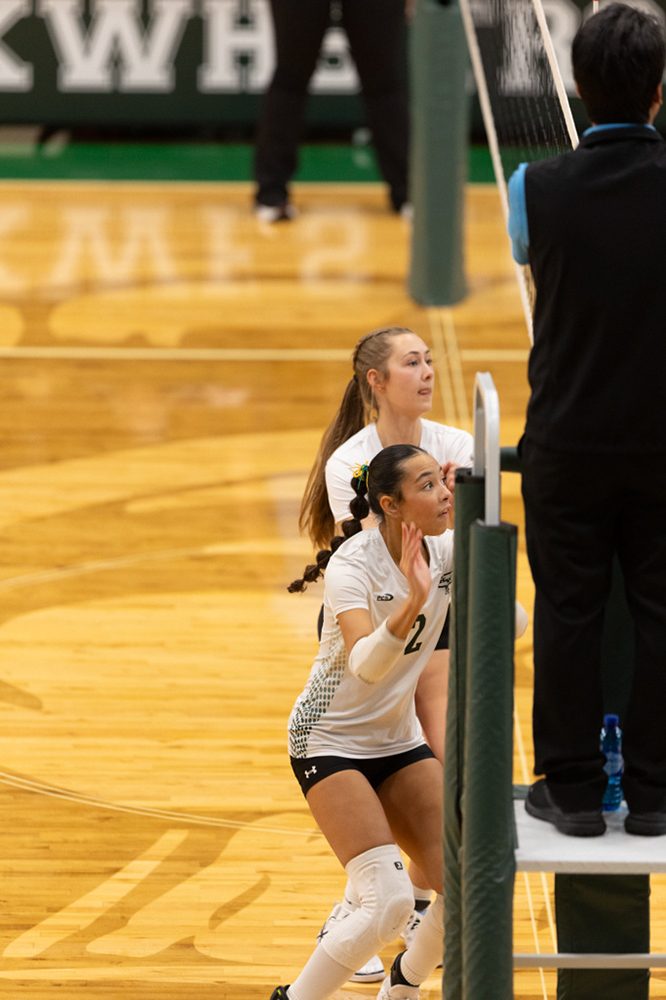 %_tempFileName1M6A0639%