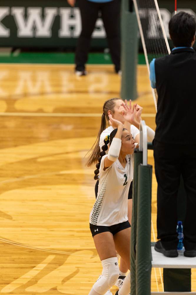 %_tempFileName1M6A0640%