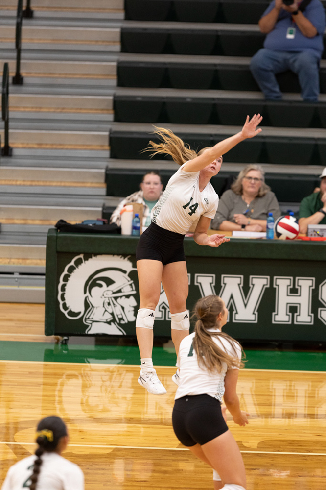 %_tempFileName1M6A0667%