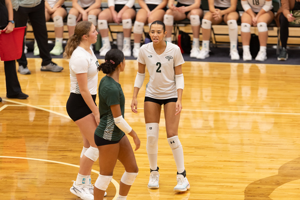 %_tempFileName1M6A0673%