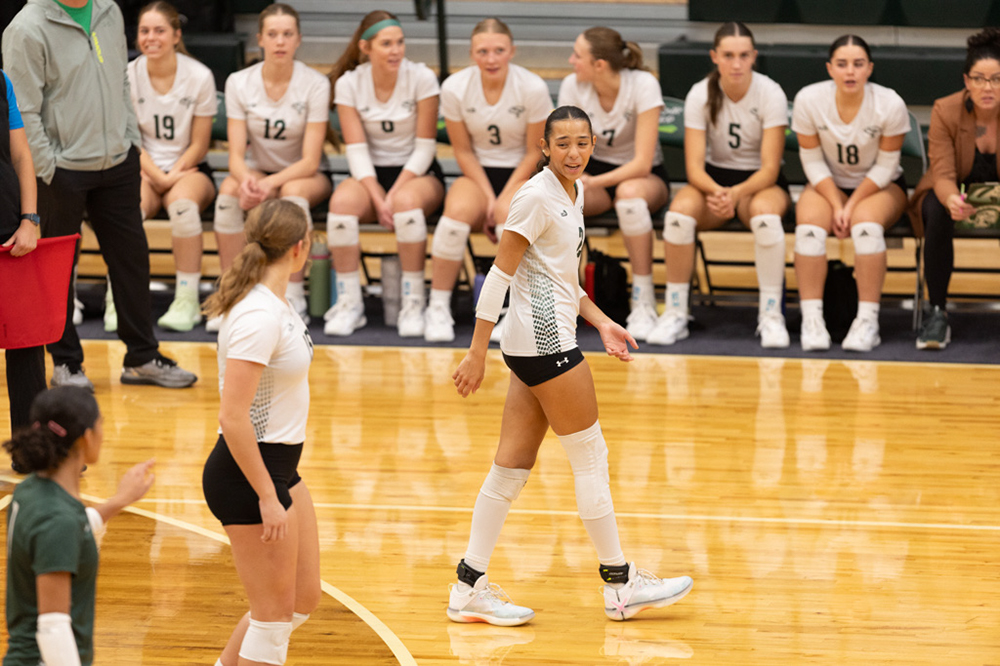 %_tempFileName1M6A0674%