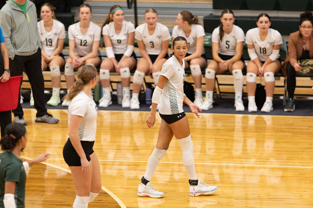 %_tempFileName1M6A0675%