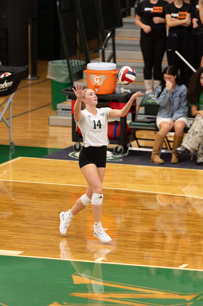 %_tempFileName1M6A0676%