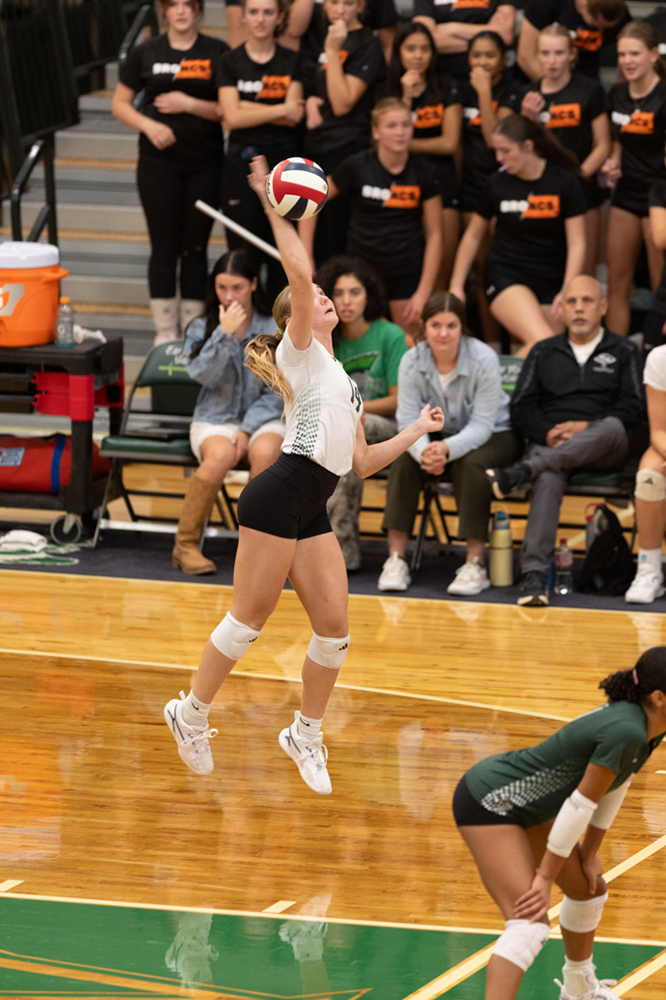 %_tempFileName1M6A0684%