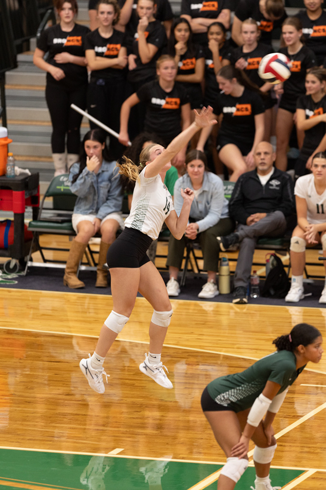 %_tempFileName1M6A0685%