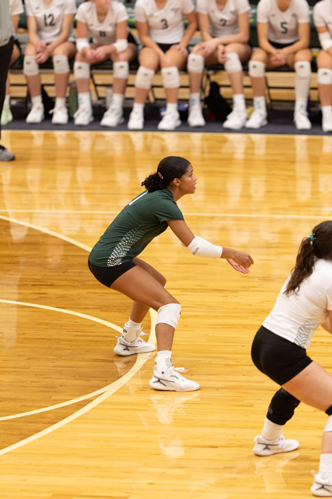 %_tempFileName1M6A0695%