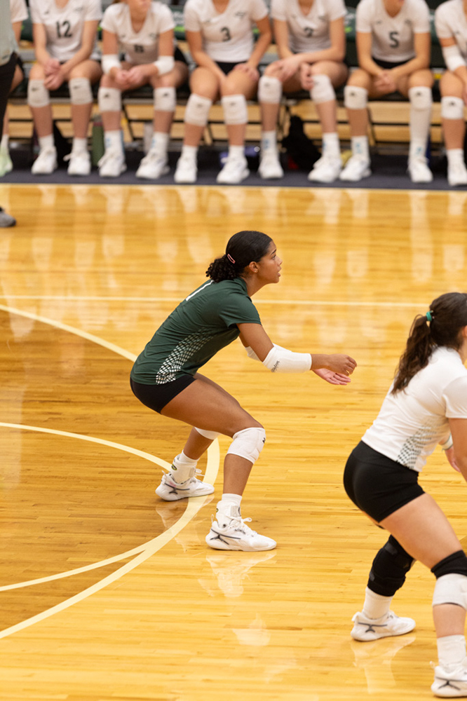 %_tempFileName1M6A0696%