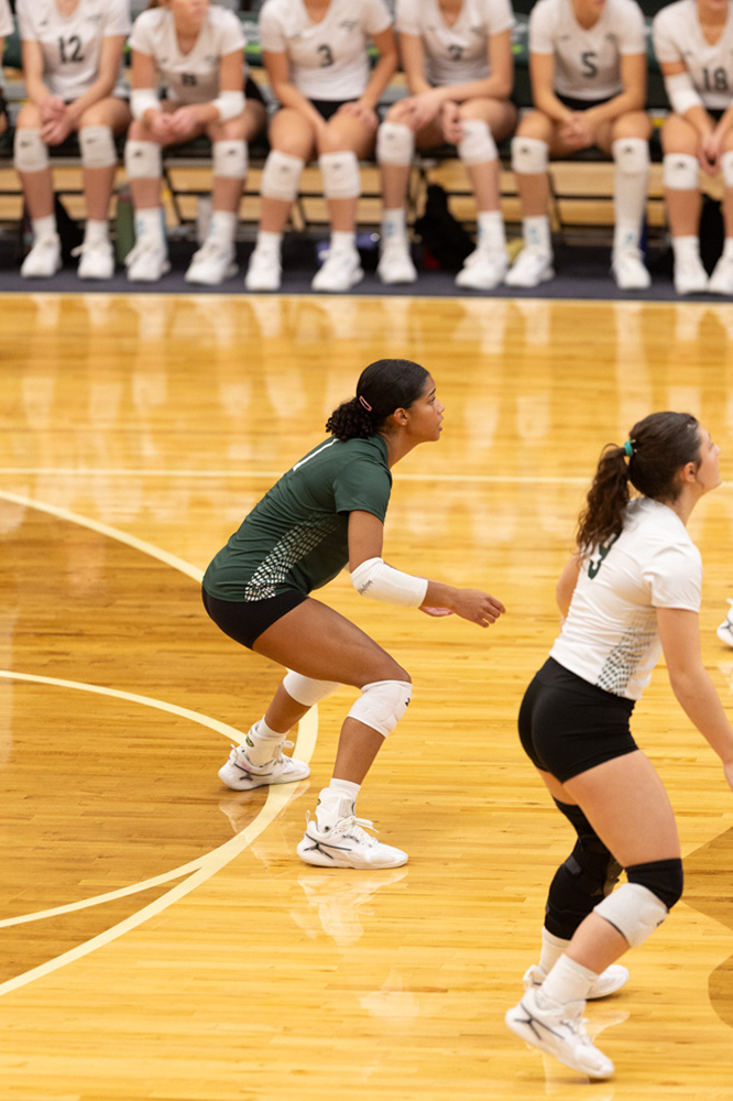 %_tempFileName1M6A0698%