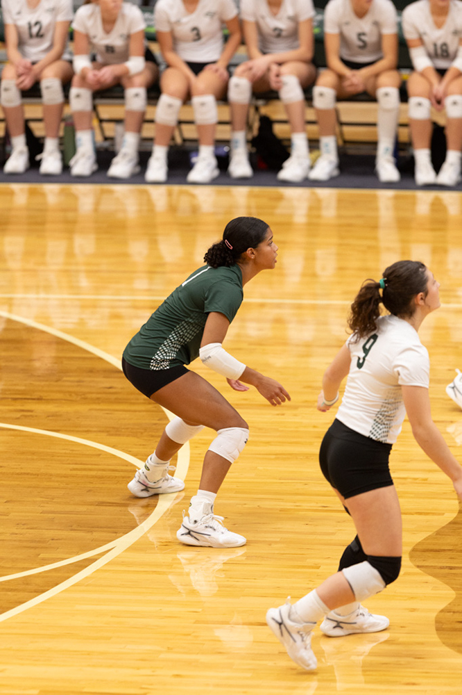 %_tempFileName1M6A0699%