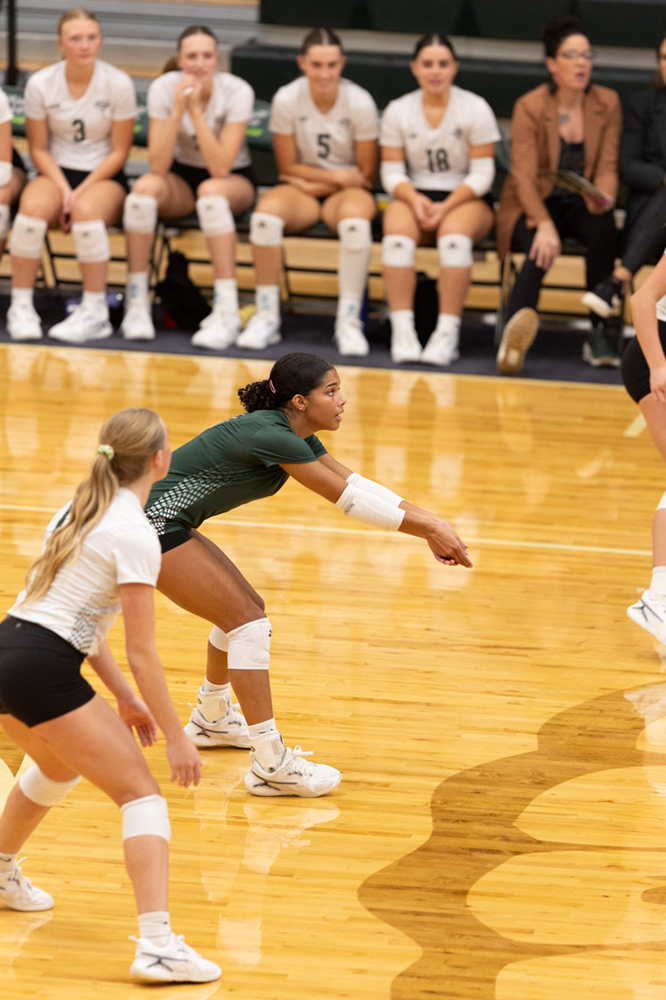 %_tempFileName1M6A0702%