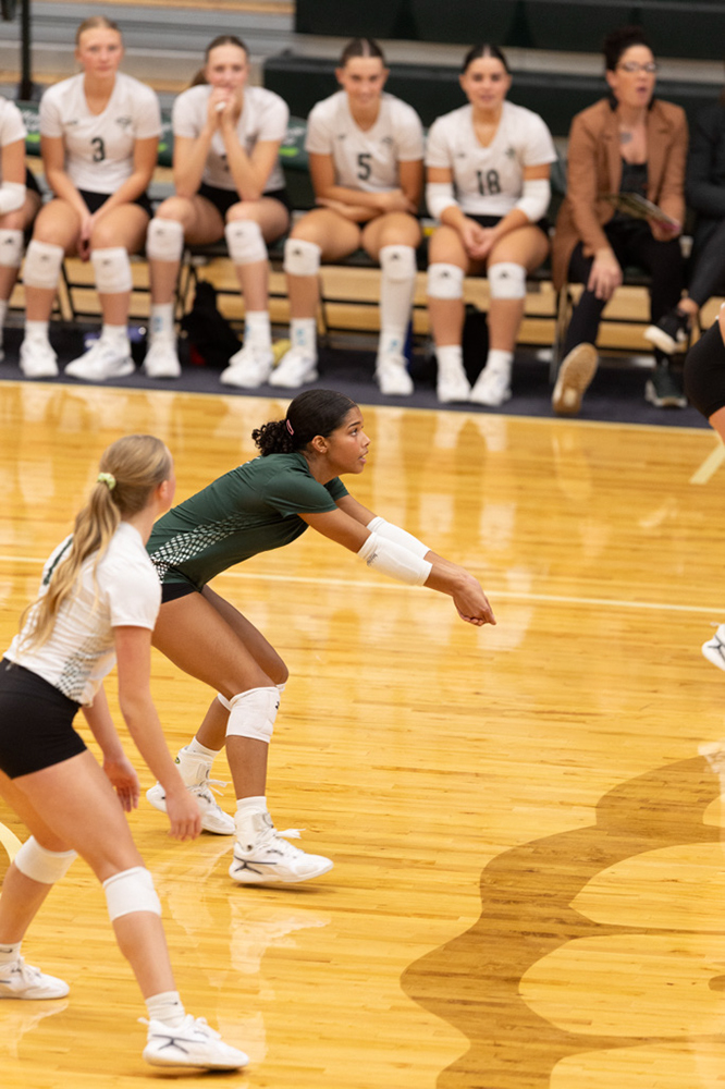 %_tempFileName1M6A0703%