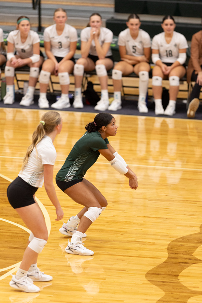 %_tempFileName1M6A0706%