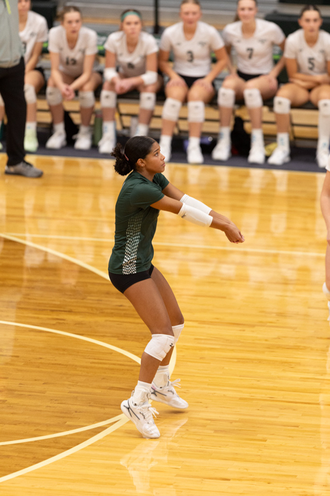 %_tempFileName1M6A0714%