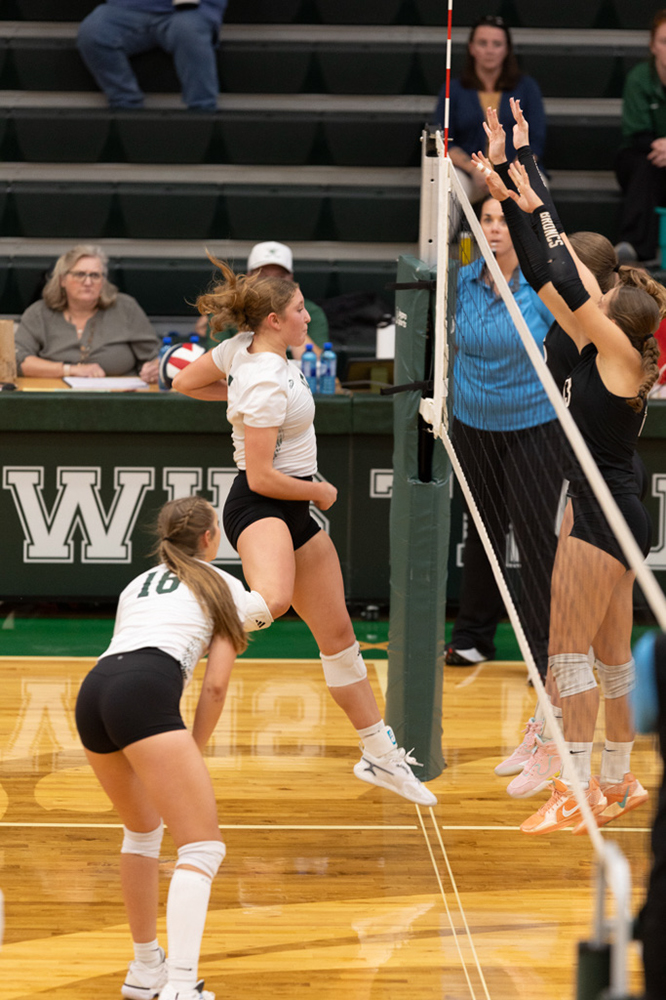 %_tempFileName1M6A0726%