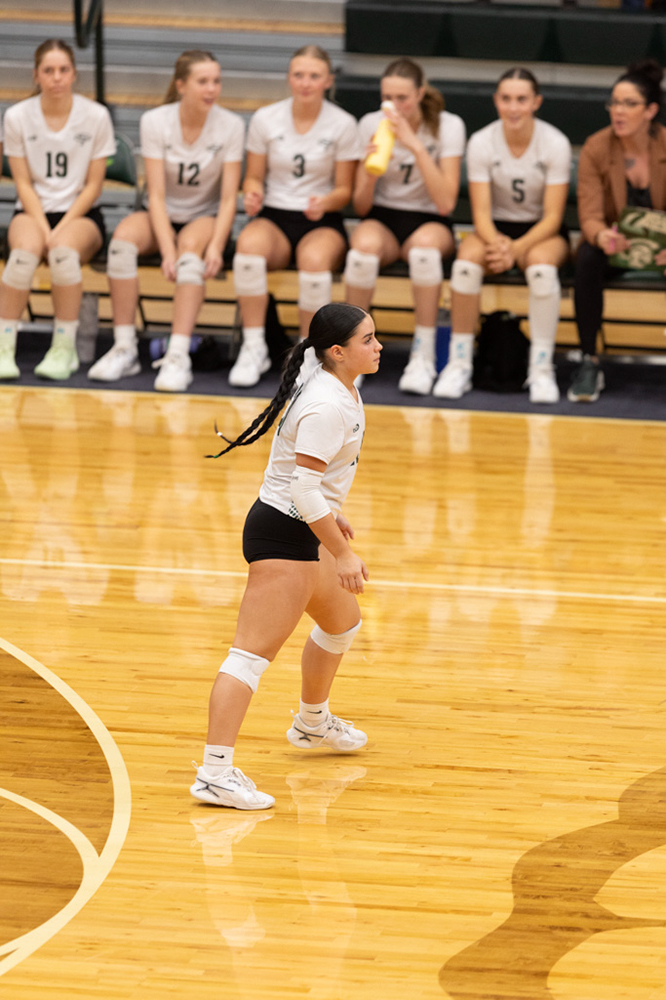 %_tempFileName1M6A0773%