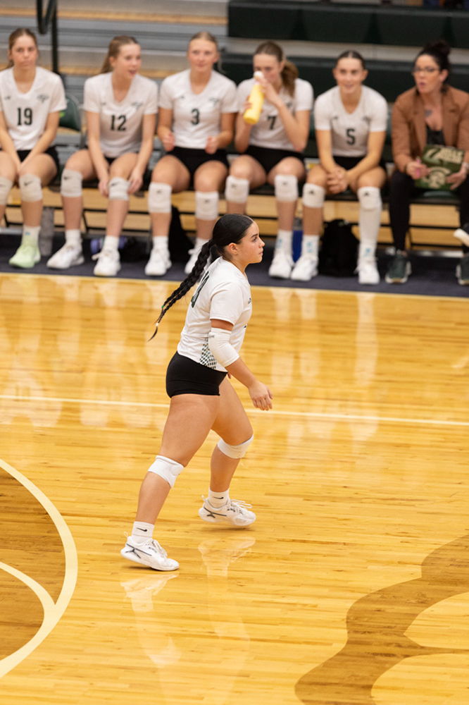 %_tempFileName1M6A0774%